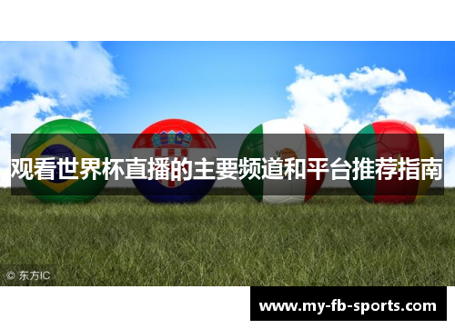 观看世界杯直播的主要频道和平台推荐指南 观看世界杯直播的主要频道和平台推荐指南